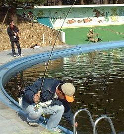 【ある種究極の管理釣場】　しらこばと水上公園　【プールじゃん】