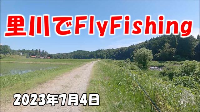 里川でFlyFishing