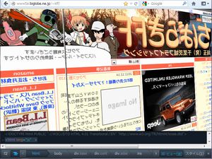 Firefox3Dr[fobNɋȂlxׂ͌
