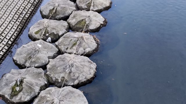 12���ł��h���C�t���C�ő唚�ށI