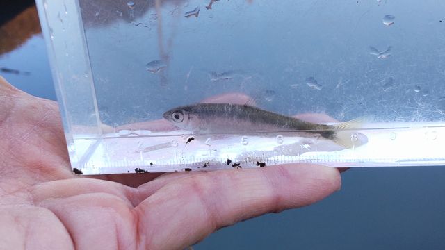 12���ł��h���C�t���C�ő唚�ށI