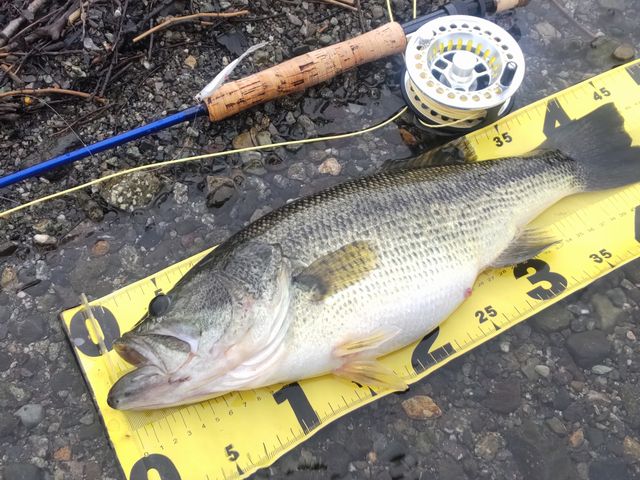 �\�w���J�T�M�p�^�[����50up