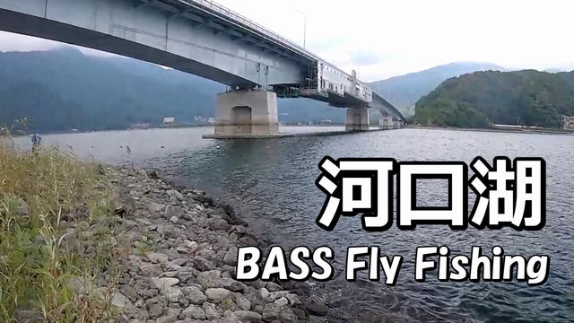 �����l�ό��q�͑��ς�炸�ł����c�c�B