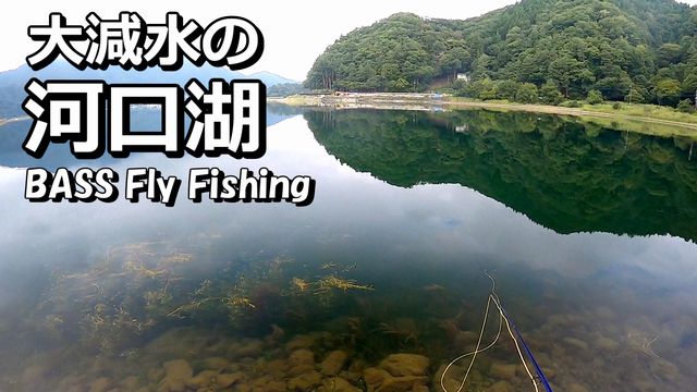 �������Ă鎞�ɕ�������Ēn�`���o���Ă������I