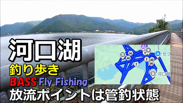 ���R�ɂ��������������炵��