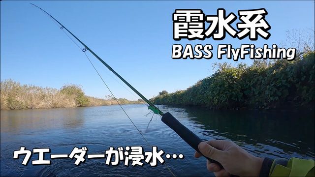 �E�G�[�_�[���Z�����܂��āc