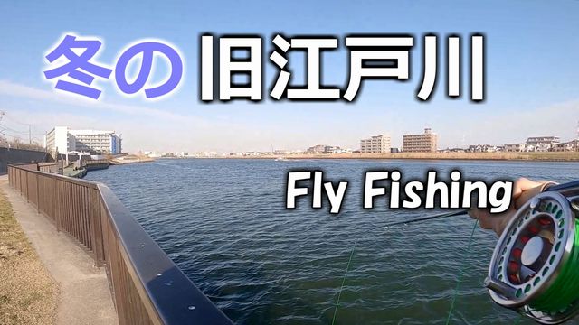 ���̓~�͋��]�ː�ɒʂ��Ă݂悤���ȁH