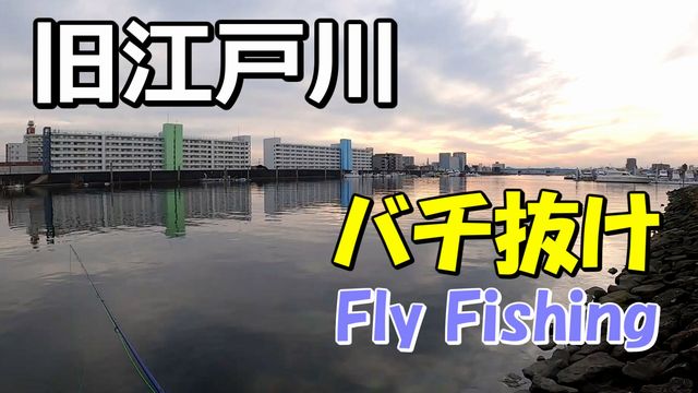 �~�o�`�����̋��]�ː�ɍs���Ă݂܂���