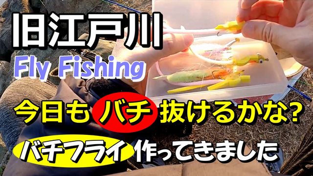 �o�`�t���C����Ă܂����]�ː��