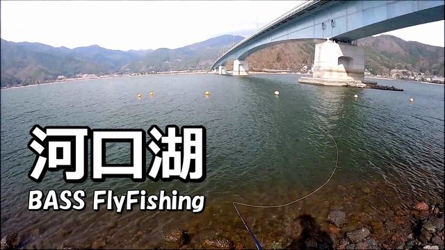 ���N���̃o�X�ނ�